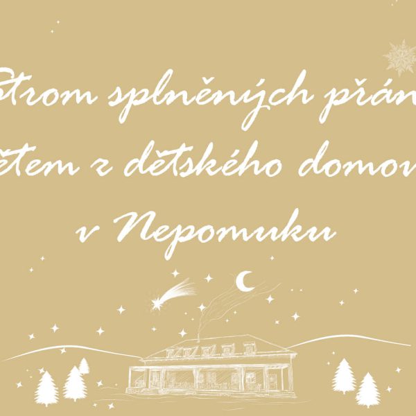 Dětský domov Nepomuk