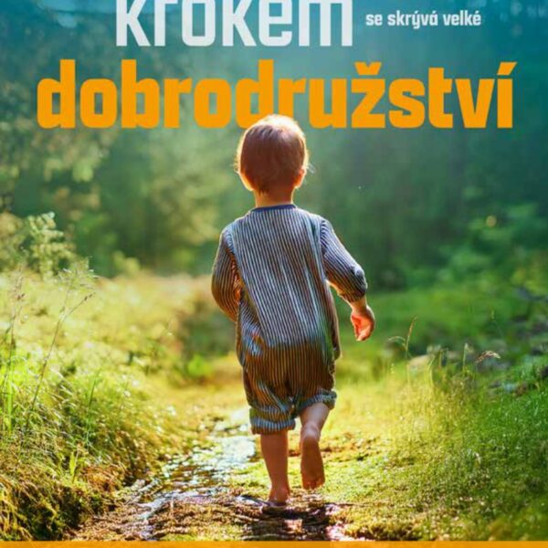 Centrum Hájek – Projekt LEXO